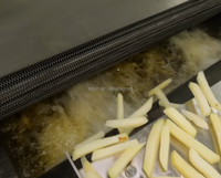 Ligne de friture de frites à économie d'énergie, machine à faire des chips de pommes de terre en acier inoxydable pour usine de snacks commerciale