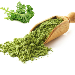 Vendita diretta in fabbrica prezzo all'ingrosso naturale cavolo nero in polvere - Product Image 6