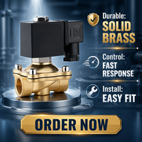 Vanne Solénoïde à Diaphragme Proportionnelle Hydraulique Électrique 1/2 Pouce AC DC 12V 24V 110V 220V avec Bobine en Cuivre et Corps en Laiton pour l'Eau