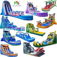 Fête personnalisée pour adultes et enfants en plein air toboggan gonflable toboggan gonflable avec piscine