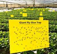 Grote gele kleefplaat voor insecten, zoals vliegen, bladluisjes en thrips, voor gebruik in de landbouw en boomgaarden.