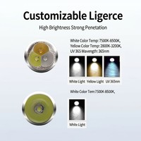 Linterna de Llavero Robusta de Acero Inoxidable 304 con Luz Roja, 3 LED de 650nm, Reflector de Aluminio, Batería 18650, IP20, Alcance de 200 Metros