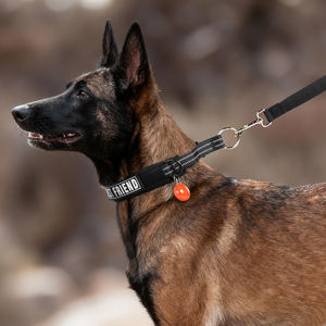 Collar de Nailon Martingale Colorido Nuevo de YIWU, Collar de Seguridad Reflectante para Mascotas, Collares de Entrenamiento Semi-ajustables, Collares Acolchados Suaves y Reflectantes para Cachorros - Product Image 6