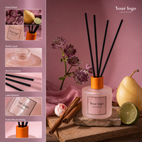 Diffuseur à bâtonnets en verre dépoli avec capuchon orange et bâtonnets noirs, parfum d'ambiance pour la maison, décoration spa, fournisseur en gros OEM ODM