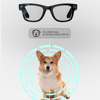 Lunettes intelligentes AI tendance 2026 avec appels mains libres, assistance IA, traduction en temps réel, reconnaissance d'objets et caméra HD 800W