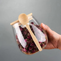 Pot de conservation en verre borosilicate transparent de haute qualité avec couvercle et cuillère, pour la cuisine domestique ou le camping, hermétique pour le stockage des aliments