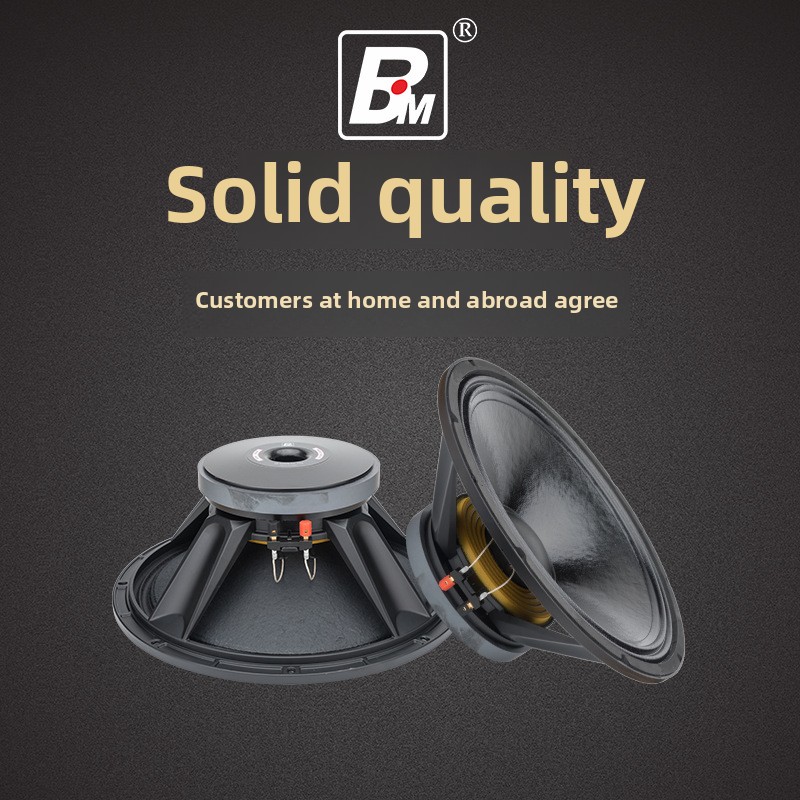 bass speaker 15 inch