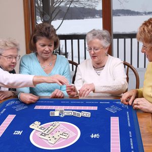 Tapete <span class=keywords><strong>de</strong></span> Mahjong Antideslizante y Reductor <span class=keywords><strong>de</strong></span> Ruido, Plegable, con Bolsa con Cordón, Fácil <span class=keywords><strong>de</strong></span> Limpiar, <span class=keywords><strong>de</strong></span> Lona, Gran Venta en Estados Unidos - Product Image 2