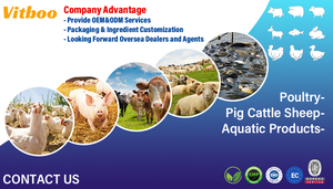 Sac de 100g pour la Croissance Porcine – Booste la Prise de Poids du Porc – Complément Alimentaire pour la Viande de Porc - Product Image 2