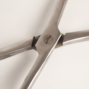 คีมสแตนเลสสำหรับคลอดสุกร อุปกรณ์สัตวแพทย์ เครื่องมือช่วยคลอดสุกร - Product Image 3