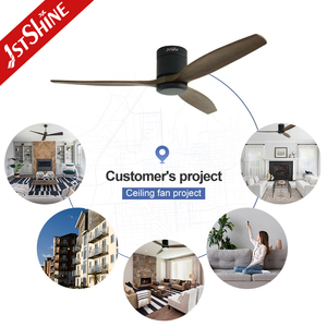 Ventilateur de plafond 1stshine, prix compétitif, économie d'énergie, montage encastré, 2 en 1 avec ou sans éclairage - Product Image 5