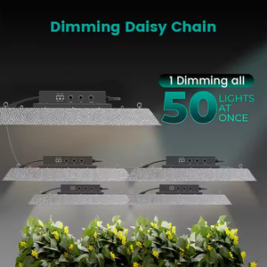 Panel de Luz LED para Cultivo de Plantas, <span class=keywords><strong>Serie</strong></span> Quantum LM281B, 200W, Espectro Completo, Cuerpo de Aluminio, IP65, Aplicación Bloom, Chip COB, 5 Años, CRI95 - Product Image 4