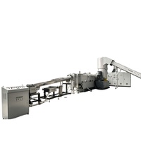 Ligne de granulation de déchets de fibres de polyester CE PET, recyclage de fil de fibres chimiques, dégazage sous vide, alimentation latérale, pelletisation de brins