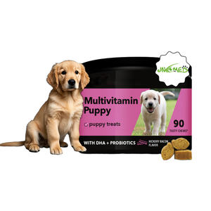 Integratore alimentare sanitario Pet urinario mastica morbida vescica mirtillo rosso supporto nutrizione per cani e gatti - Product Image 1