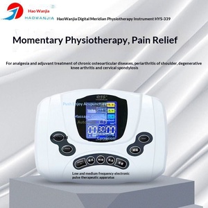 Dispositivo de <span class=keywords><strong>Fisioterapia</strong></span> Terapéutica de Pulsos Electrónicos de Baja y Media Frecuencia Haowanjia 339, Fuente de Alimentación Digital Enchufable, Garantía de por Vida - Product Image 2