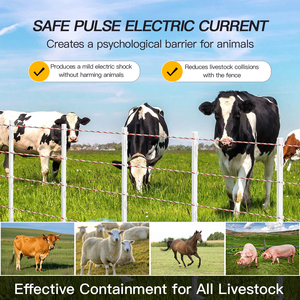 Cuerda Conductora para Cerca Eléctrica a Prueba de Osos, Jabalíes, Caballos, Ganado, Ovejas y Animales en Cautiverio - Product Image 2