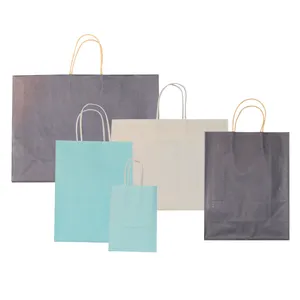 online custom paper shopping bag 250gsm papier Douane blanc cadeau sac en papier