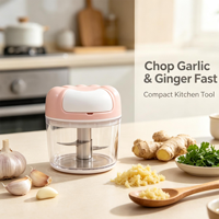 Hachoir manuel à tirette pour ail, légumes et viande, robot culinaire portable pour bébé, coupe-ail en acier inoxydable