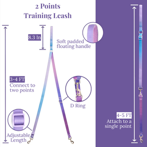 Correa de Nailon de Alta Densidad de Doble Extremo <span class=keywords><strong>para</strong></span> <span class=keywords><strong>Perros</strong></span>, Entrenamiento de Dos Puntos y Manejo Seguro - Product Image 3