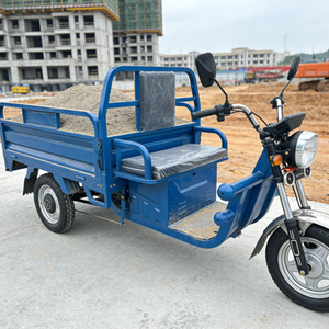 Motocicleta Eléctrica <span class=keywords><strong>de</strong></span> Carga <span class=keywords><strong>de</strong></span> 3 Ruedas, Chasis Personalizado, Rodamientos, Neumáticos, Camper, 60V 1000W, Trabajo Pesado Agrícola - Product Image 5