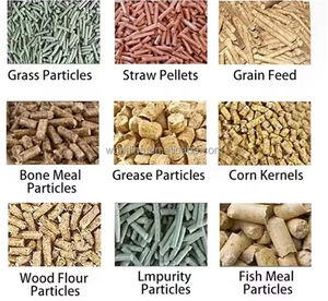 <span class=keywords><strong>Machine</strong></span> à granulés d'aliments pour volailles, poulets, canards, oies, bétail, poissons, crevettes, animaux, bovins, chevaux, moutons, porcs, lapins - Product Image 6