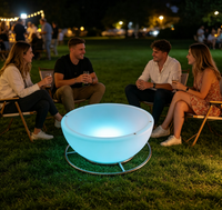 Chaise bol lumineuse LED moderne, élégante, multicolore, télécommandée, IP65, rechargeable, intensité réglable, garantie 2 ans, idéale pour les fêtes