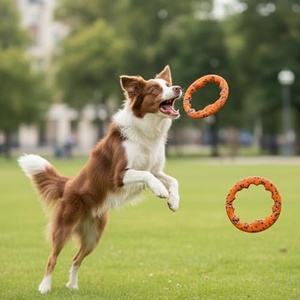 Offre Spéciale : Anneau de traction pour chien en mousse EVA de 19,5 cm, personnalisable, jouet interactif résistant aux morsures pour animaux de compagnie, pour la dentition, le mastication et le tirage - Product Image 4