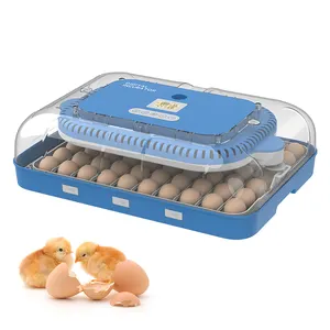 72 uova a doppia potenza per uso domestico piccola macchina da cova di pollo automatica incubatrice di uova di gallina