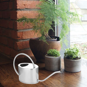 Manico decorativo da 1 litro in acciaio inossidabile ovale colorato colorato alla rinfusa interna carino da giardino in metallo piccolo Mini annaffiatoio <span class=keywords><strong>per</strong></span> <span class=keywords><strong>piante</strong></span> - Product Image 2