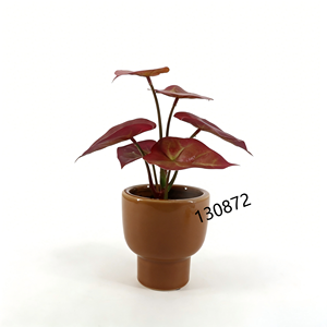 <span class=keywords><strong>ต้น</strong></span>คาลเลเดียม<span class=keywords><strong>สี</strong></span><span class=keywords><strong>แดง</strong></span>เข้มประดิษฐ์ในกระถางเซรามิก<span class=keywords><strong>สี</strong></span>อำพัน <span class=keywords><strong>ต้น</strong></span>ไม้ปลอมดูแลง่ายสำหรับบ้านสไตล์โมเดิร์นกลางศตวรรษ - Product Image 5