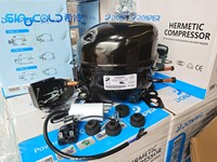 Compresseur de réfrigérateur d'origine LBP R134a 1/5 HP compresseur de réfrigération pour réfrigérateur LU66XZ1 1/5HP 110v