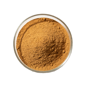 مسحوق بذور الكويكس (Semen Coicis) مستخلص بدرجة غذائية 99% معبأ في براميل مفرغة الهواء - Product Image 2