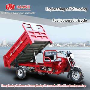 Potente Transportador <span class=keywords><strong>de</strong></span> Frutas <span class=keywords><strong>de</strong></span> 200cc con Opción <span class=keywords><strong>de</strong></span> Cabina Cerrada, Triciclos a Gasolina - Product Image 5