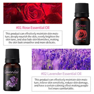 Kit Opcional de Marca Privada, Juego de 6 Aceites Esenciales de 10 ml, Fragancia para el Hogar, Cuidado de la Piel, Belleza Vegetal, Esencia para la Salud, <span class=keywords><strong>Difusor</strong></span> Aromático - Product Image 6