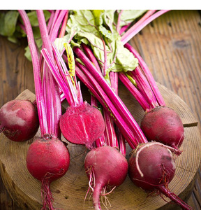 100% чистый органический порошок свеклы - Product Image 3