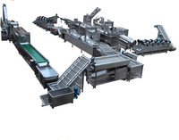 Quick Bevriezing Verwerking Machine Bevroren Groente En Fruit Productielijn