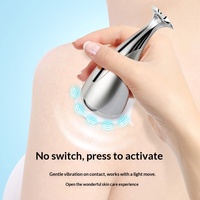 Petit Appareil de Massage Facial Magnétique ABS à Haute Fréquence, Vibrations, Ions Négatifs, Étanche, pour Usage Domestique, Pénétration Profonde, Beauté du Visage