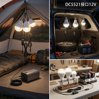 Ampoule LED DC12V pour usage extérieur avec câble de 2,8 m, prise DC5521, interrupteur marche/arrêt, crochet métallique pour un accrochage facile, CRI 80, 6500K