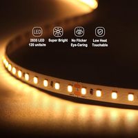 Fabrik preis 3000K bis 6500K Cct Board Flexible Smd2835 120Leds 12V 24V LED-Licht leiste für Innendekoration Smart Mirror Light