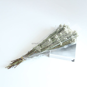 Flores Secas Más Vendidas al Por Mayor, Flores Blancas Pequeñas, Margaritas Blancas, Ciruelas Blancas para Decoración <span class=keywords><strong>de</strong></span> Bodas y Fiestas - Product Image 5