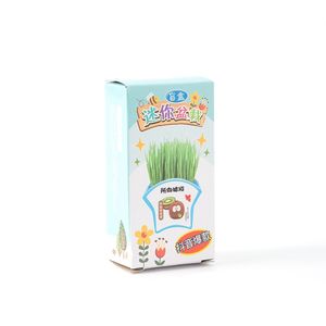 Mini Kit de Plantas en Maceta, Caja Sorpresa, Kit Educativo para Niños, Observación de Germinación de Semillas, Manualidades, Regalo para Tareas Escolares - Product Image 5