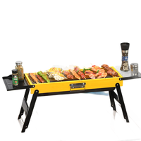 Barbecue au charbon de bois pliable moderne en acier inoxydable pour usage extérieur
