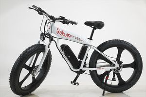 2021 26 Inch Nhanh Nhất Xe Đạp Điện 48V 10ah Pin 750 Wát Dành Cho Người Lớn Xe Đạp Điện Leo Núi Chu Kỳ Điện - Product Image 3