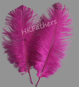 Plumes d'autruche teintées spectaculaires de 30-35 cm (50 pièces/sac) – Couleurs personnalisables – Marque HKFeathers pour mariages thématiques et burlesque - Product Image 3