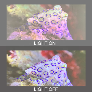 Mớ<span class=keywords><strong>i</strong></span> nhất Mini LED Rạp hát tạ<span class=keywords><strong>i</strong></span> nhà Full HD 1080P 4K 1500Anis chiếu phim thông minh. - Product Image 6