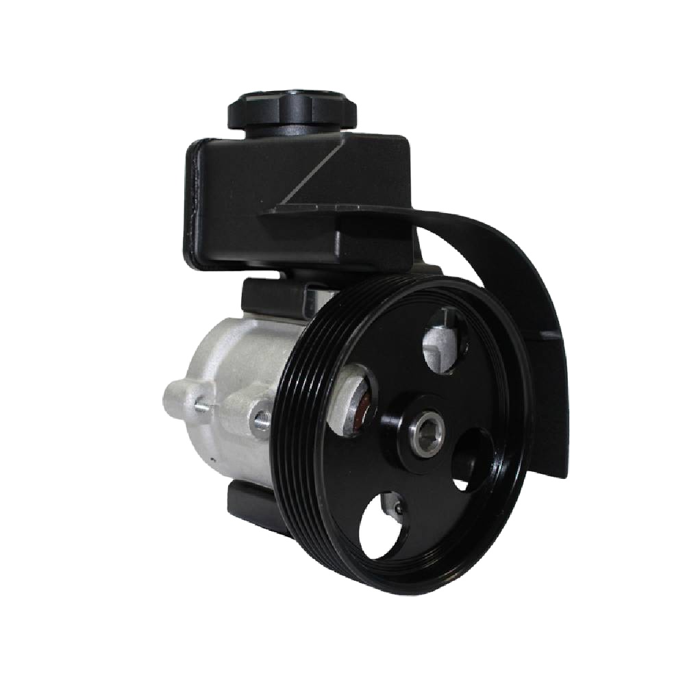 4007.HY 4007.LP 4007.WP CRX161 Power Steering Pump for Peugeot 206