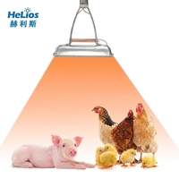 Nouvelle Lampe Chauffante Rectangulaire en Aluminium pour Poulailler, Élevage de Porcelets, Serre, Étanche et Anti-explosion, Ampoule Chauffante Infrarouge