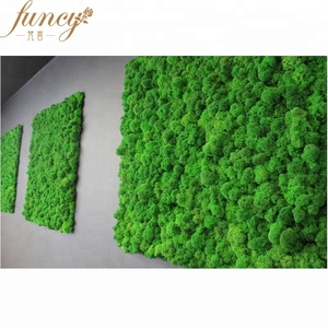 Bouteille <span class=keywords><strong>de</strong></span> parfum Eternal Moss-Mini mousse conservée dans une bouteille en verre avec <span class=keywords><strong>bouchon</strong></span> en liège - Product Image 2