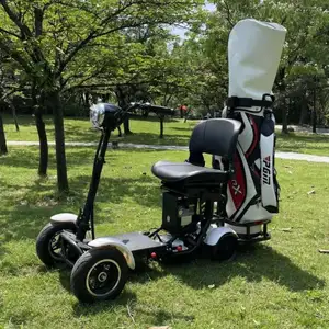 大人用1600W60Vゴルフスクーターリチウム電池四輪電動ゴルフボードスクーター
