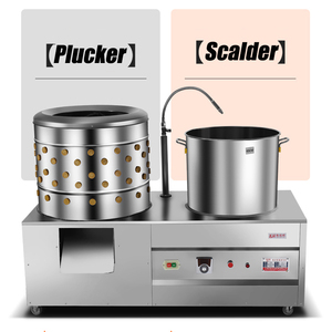 Plumeuse à poulet horizontale <span class=keywords><strong>Leader</strong></span> LZ-65, capacité 14 kg, en acier inoxydable 430SS, neuve, multifonction, facile à utiliser, machine de traitement de la <span class=keywords><strong>viande</strong></span> - Product Image 1